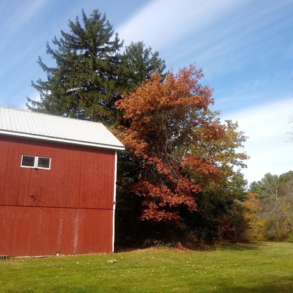 Meet your Posher, Rebel - Picture 1 of 8